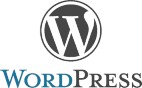 diseno-web-seo-logo-wordpress